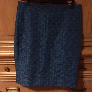 Ann Taylor skirt